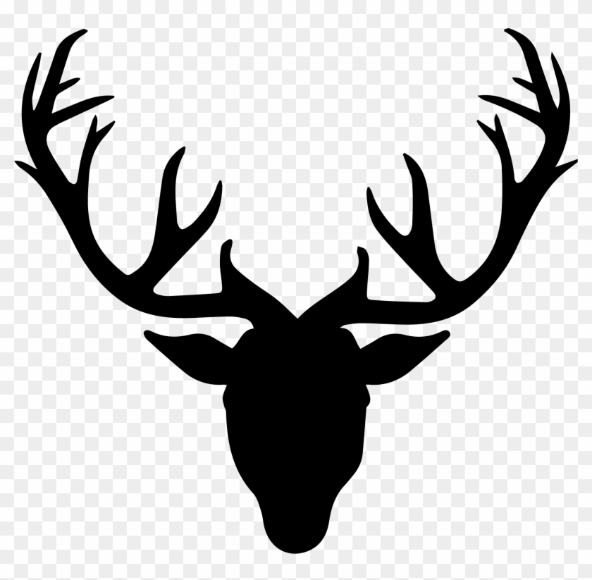 840x823 Moose, Elk Png
