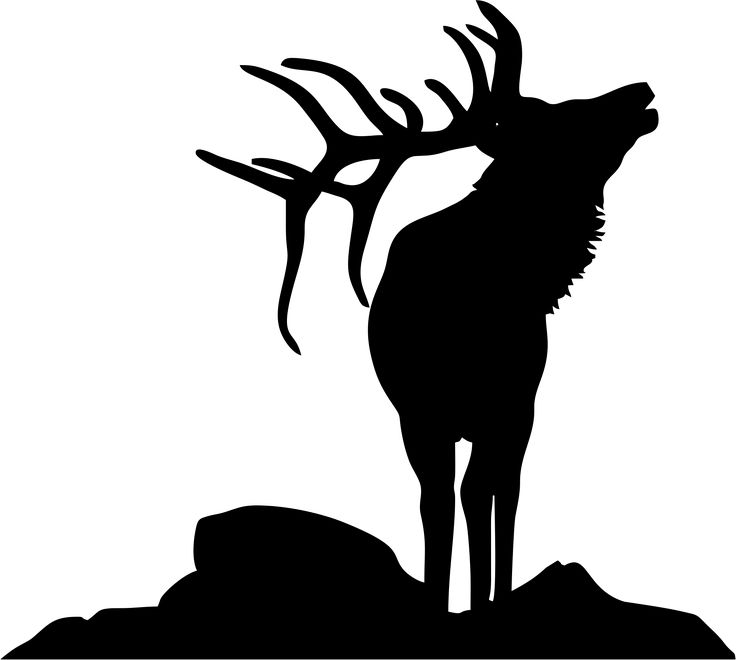 736x660 Cliparts For Free Download Elk Clipart Game Wild Moose