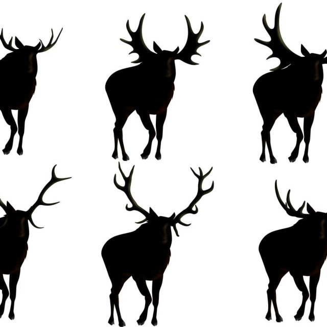 640x640 Moose Silhouette Vector Free