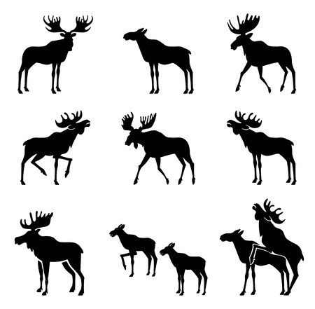 450x441 Set Of Moose Silhouettes Vector Images Royalty Free Vector Graphics