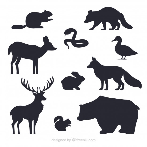 626x626 Animals Silhouettes Collection Vector Free Download