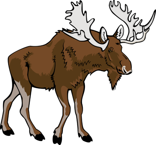 640x596 Download Moose Vector Moose Graphics Image Clipart Png Free
