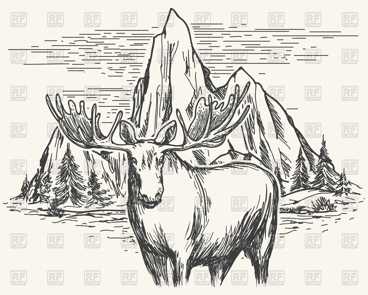 1200x960 Hand Drawn Landscape With Moose Vector Image Of Plants And Animals