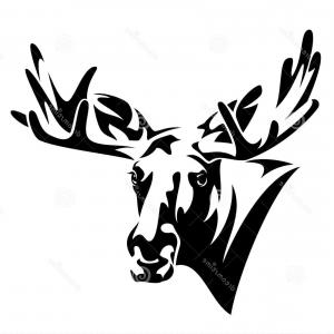300x300 Moose Head Outline Vector Newwaysys