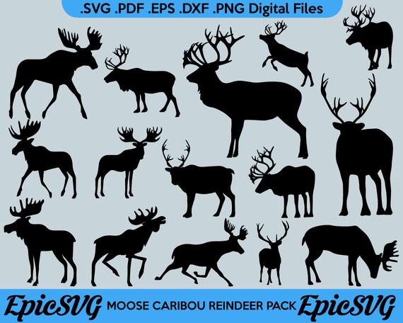570x456 Caribou Reindeer Pdf Dxf Moose Vector Etsy