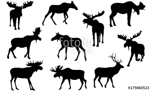 500x300 Moose Silhouette Vector Graphics Stock Image And Royalty Free
