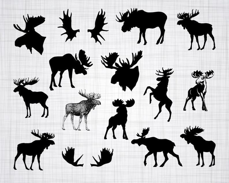 794x635 Moose Clipart Vector For Free Download And Use Images