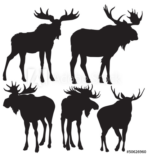 Moose Vector at Vectorified.com | Collection of Moose Vector free for ...