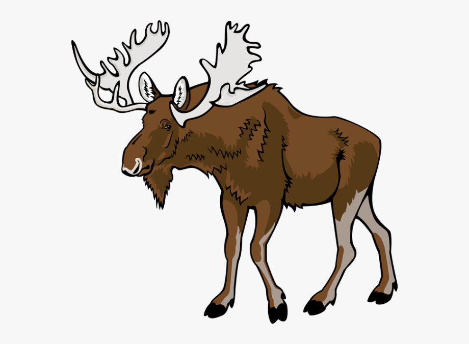 Download Moose Vector at Vectorified.com | Collection of Moose ...