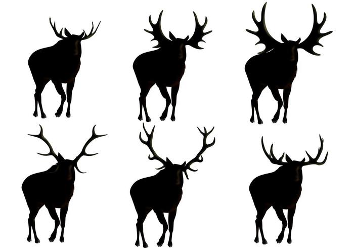700x490 Moose Silhouette