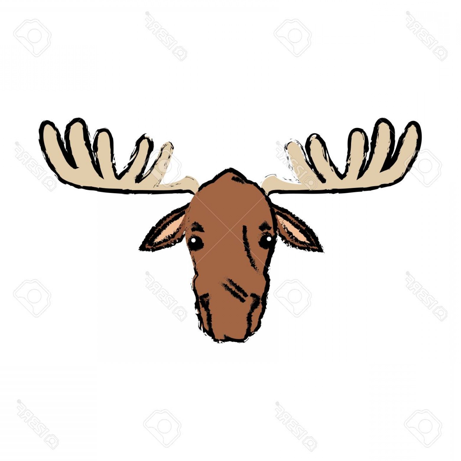 1560x1560 Photostock Vector Moose Extant Species Antler Elk Animal Wild