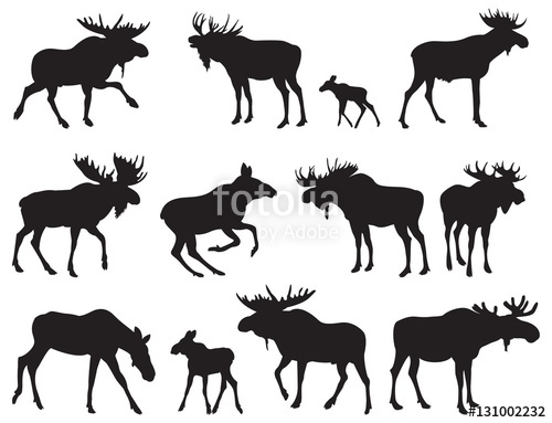 500x383 Set Of Moose Silhouettes Vector Images Stock Image And Royalty