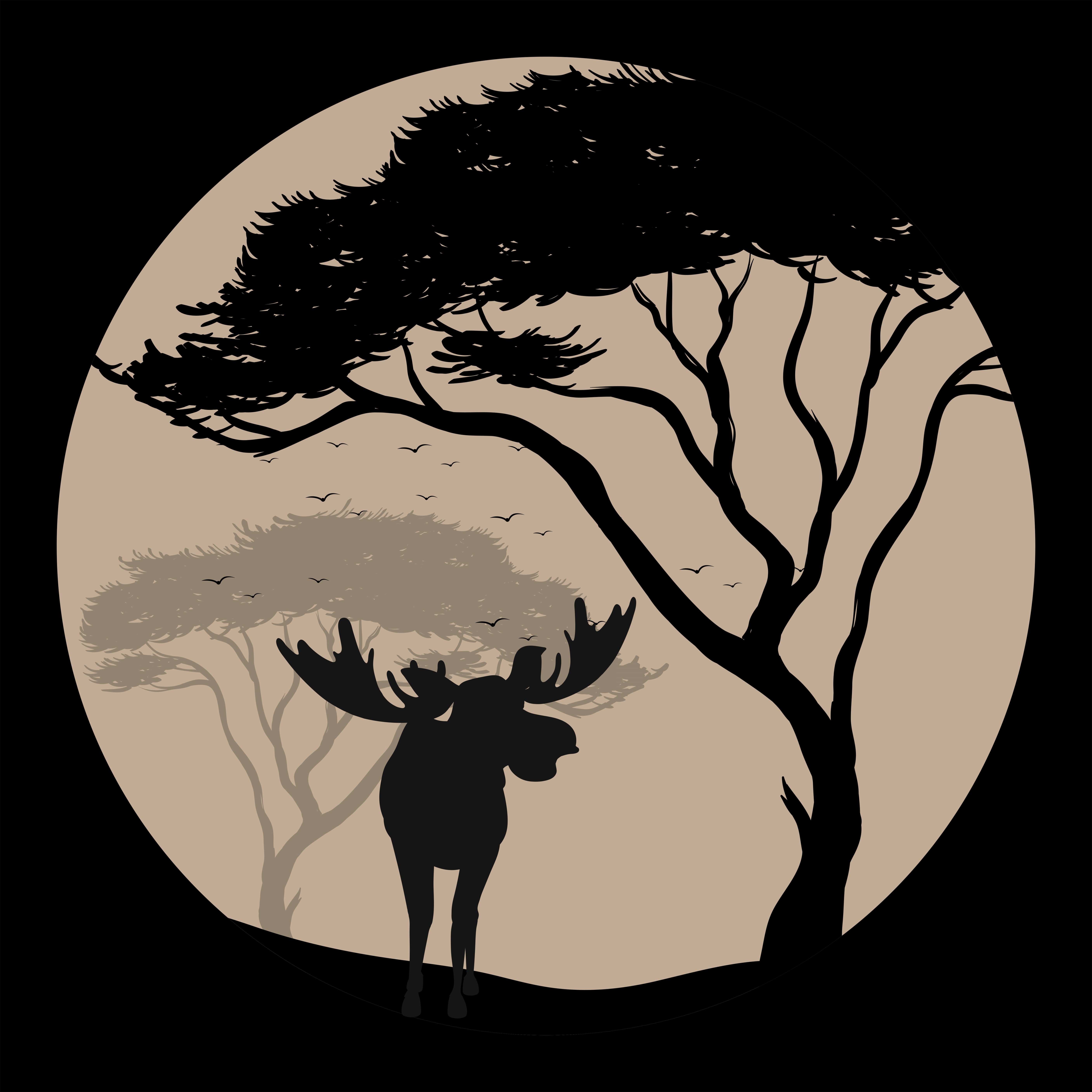 5628x5628 Silhouette Scene With Moose At Fullmoon Night Handandbeak