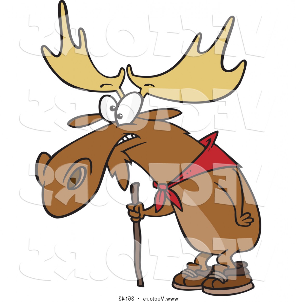 1228x1252 Vector Of A Old Hiking Cartoon Moose Using A Walking Stick