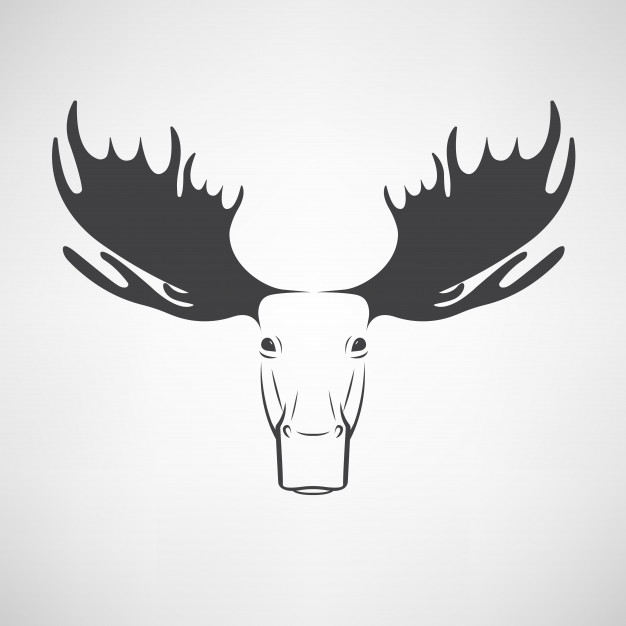 626x626 Vector Images Of Moose Deer Head On A White Background Vector