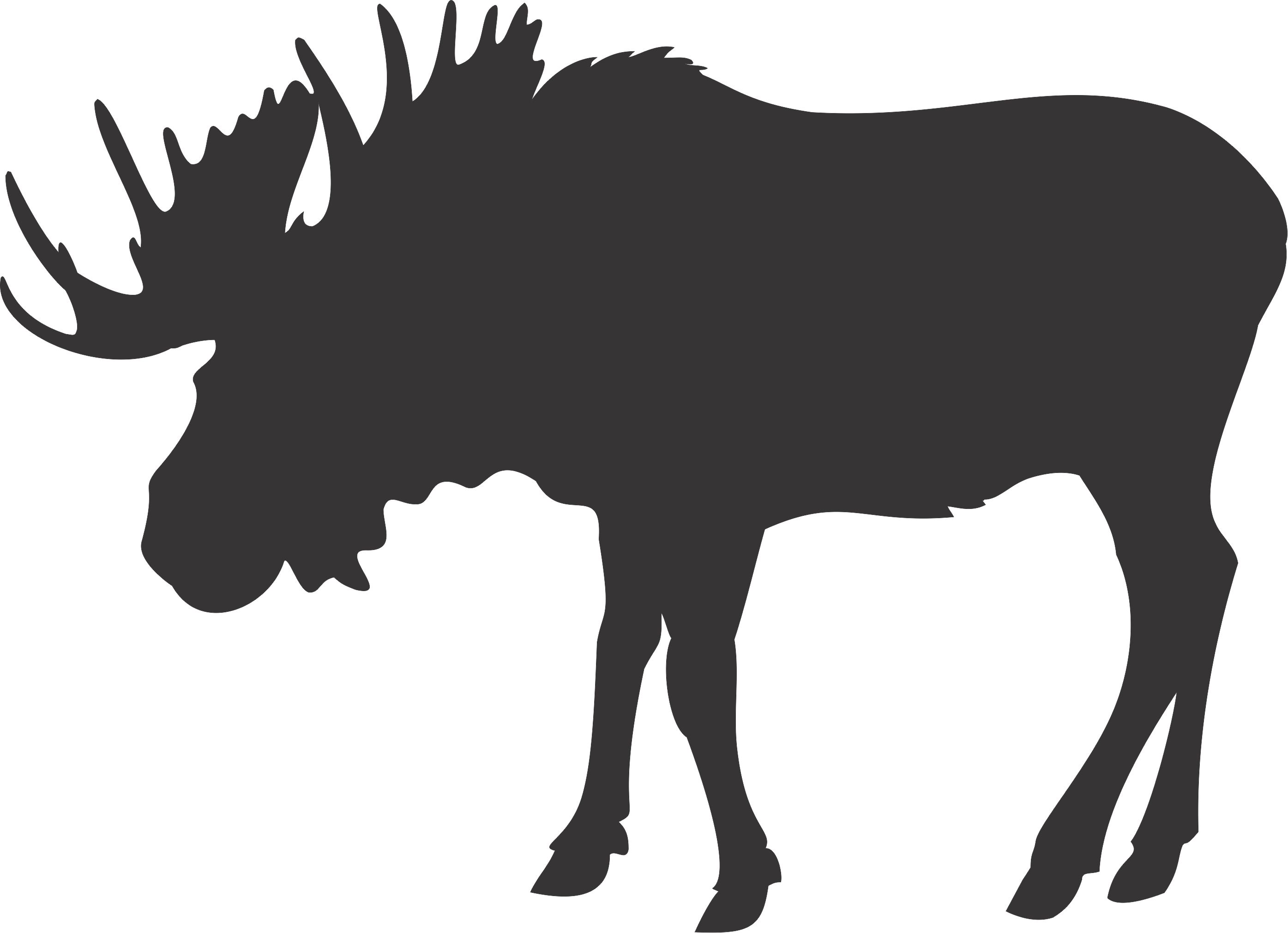2790x2022 Collection Of 'moose Silhouette Vector' Download More Than