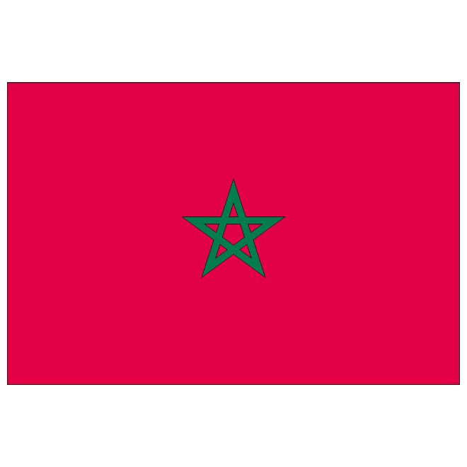660x660 Morocco Flag Vector