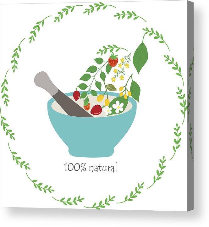 665x722 Vector Hand Drawn In Botanical Frame For Natural Cosmetics