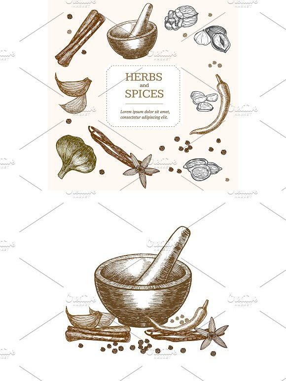 580x772 Spices And Mortar Hand Draw Plant