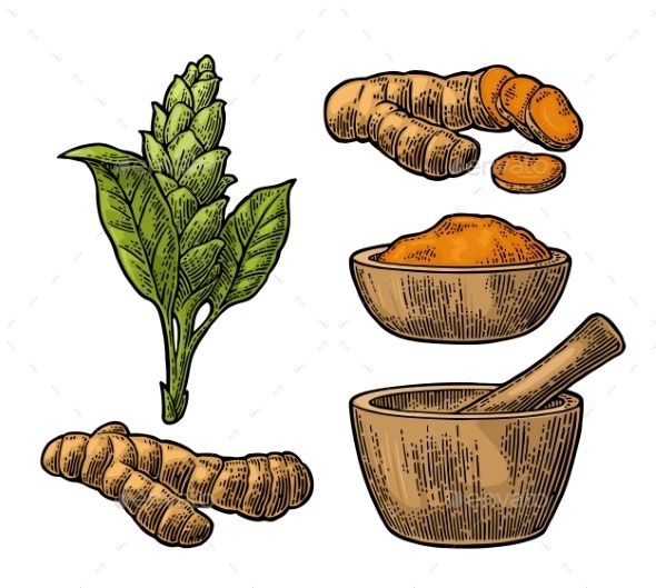 590x529 Turmeric Root, Powder And Flower With Pestle And Mortar Hand