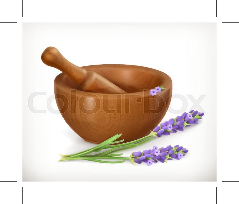 800x682 Lavender And Wooden Mortar, Vector Stock Vector Colourbox