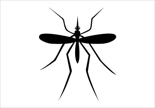 501x351 Mosquito Silhouette Graphics Silhouette Clip Art Insects