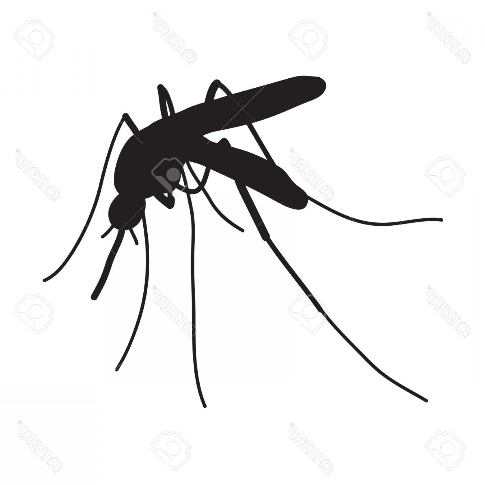 1560x1560 Mosquito Vector Hoodamathrun