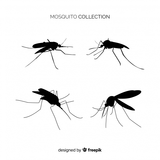 626x626 Mosquito Silhouette Collection Vector Free Download
