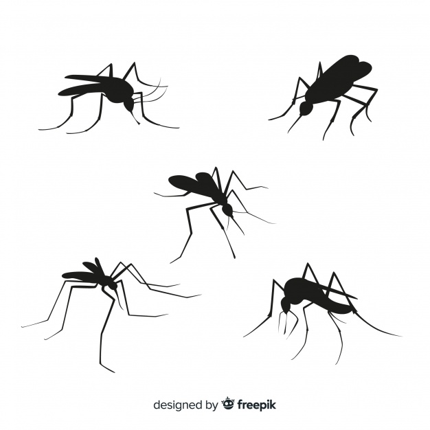 Mosquito Silhouette Vector at Vectorified.com | Collection of Mosquito ...