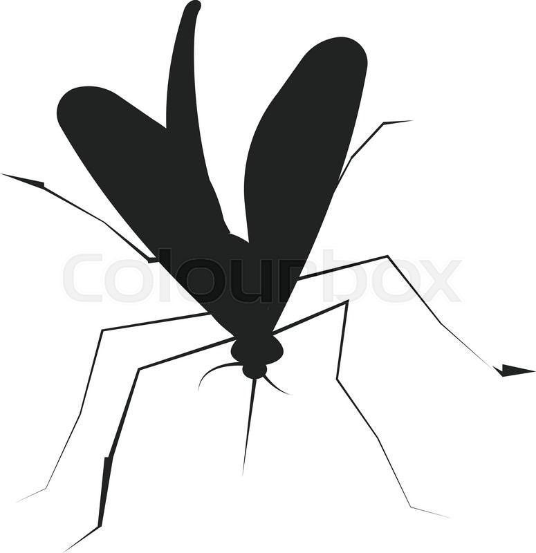 775x800 Mosquito Silhouette Isolated On White Background Set Icon, Vector