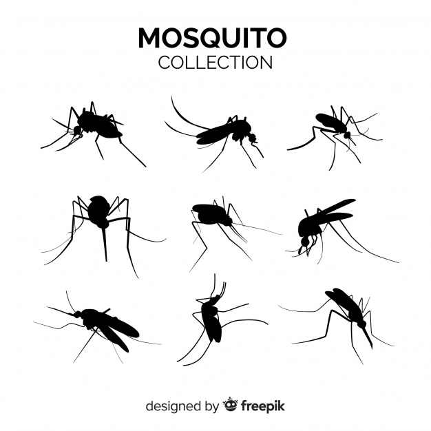 626x626 Mosquito Silhouette Pack Of Nine Vector Free Download