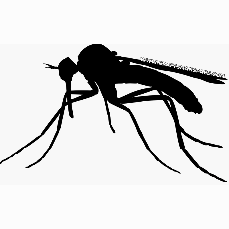 800x800 Mosquito Silhouette