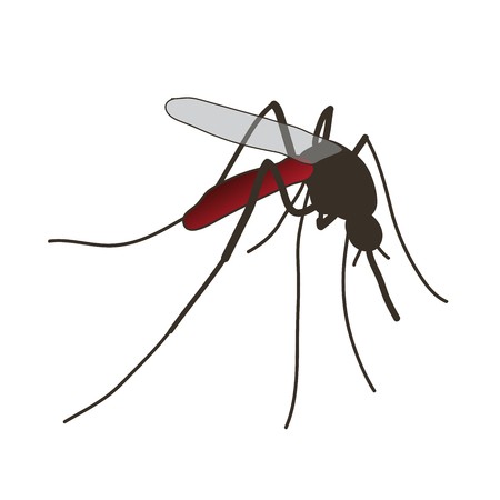 Mosquito Silhouette Vector at Vectorified.com | Collection of Mosquito ...