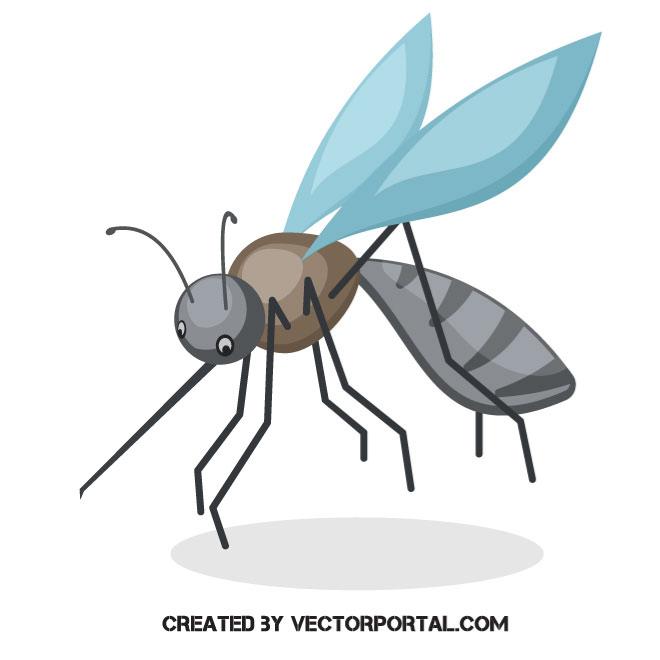 660x660 Mosquito Vector Illustration