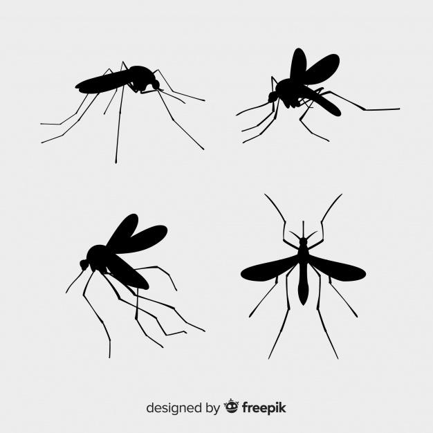626x626 Pack Of Mosquito Silhouettes Vector Free Download
