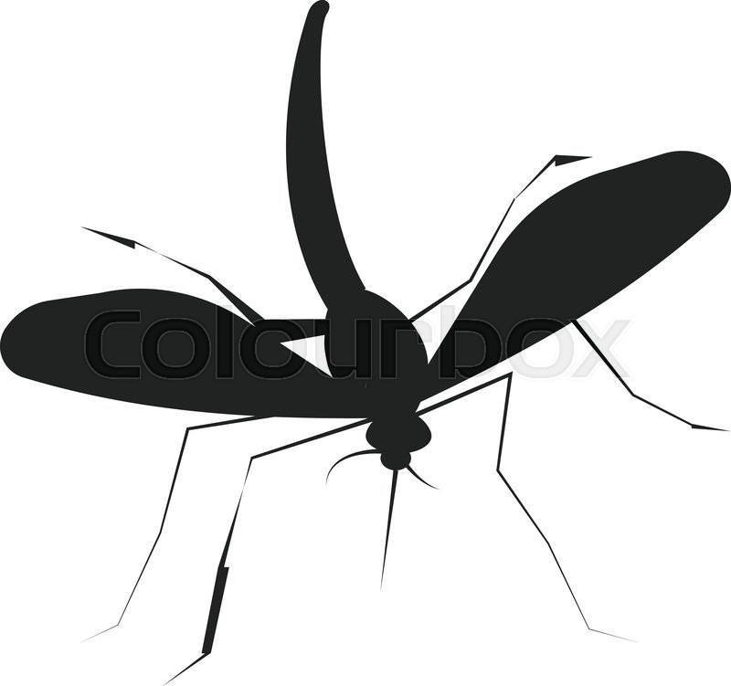 800x751 Collection Of 'mosquito Silhouette' Download More Than Images