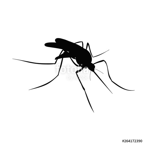 500x500 Vector, Isolated, Mosquito Silhouette, Insect Stock Image