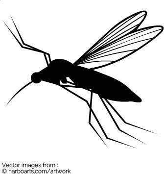335x355 Download Mosquito