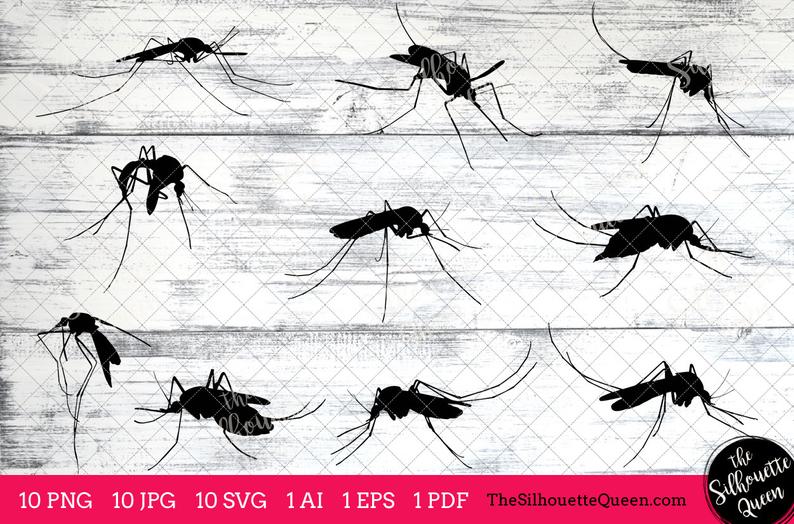 794x524 Mosquito Insect Mosquito Bug Monogram Mosquito Etsy
