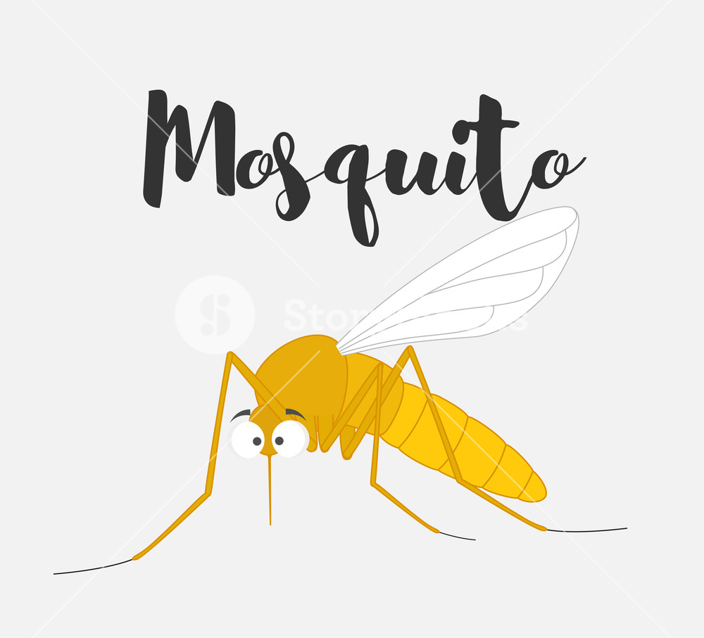 1000x907 Funny Mosquito Vector Illustration Royalty Free Stock Image