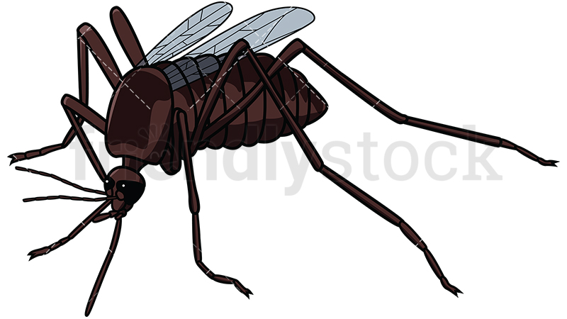 800x450 Idle Mosquito Cartoon Vector Clipart