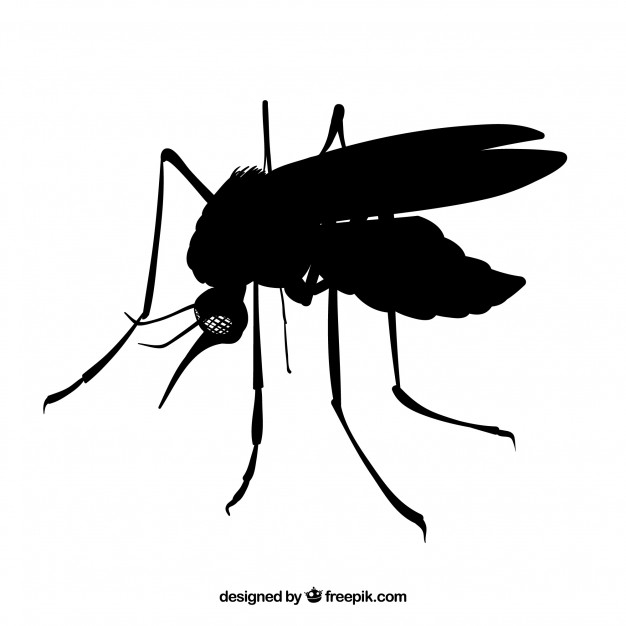 626x626 Mosquito Side Vector Free Download