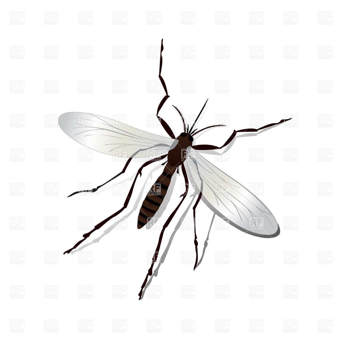 1200x1200 Realistic Mosquito Vector Image Of Plants And Animals Lirch