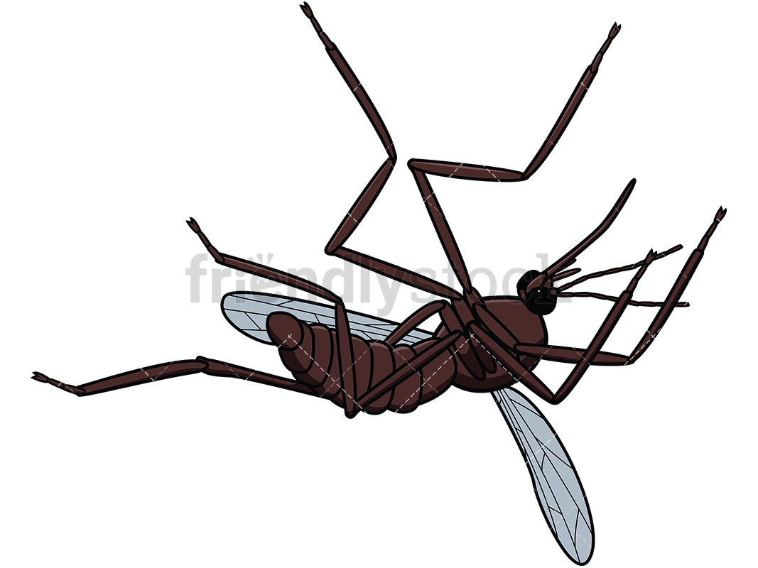 1067x800 Dead Mosquito Cartoon Vector Clipart