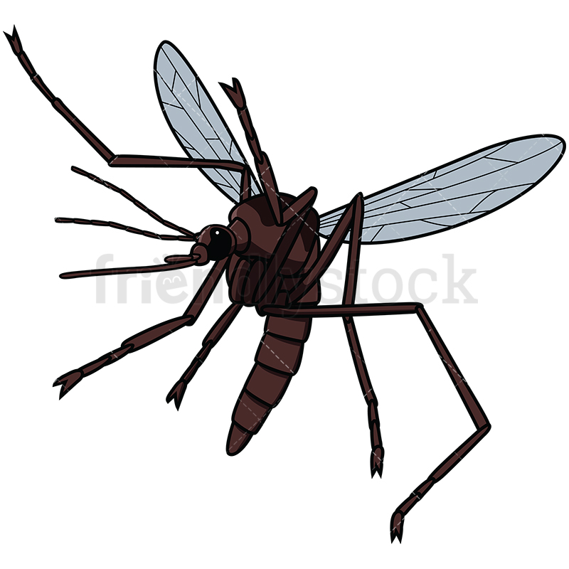 800x800 Flying Mosquito Cartoon Vector Clipart