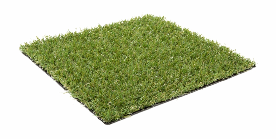 920x466 Moss Vector Artificial