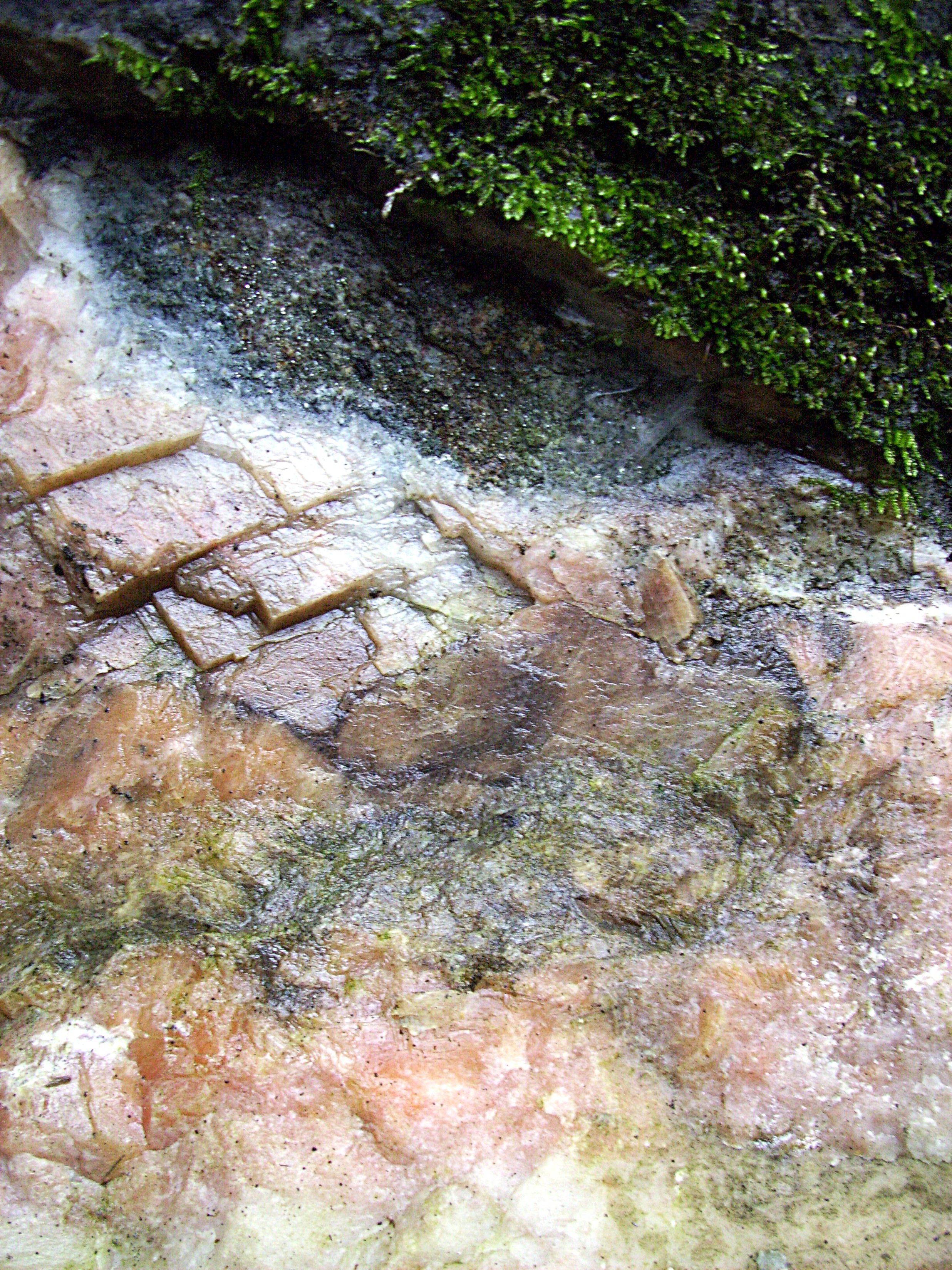 2472x3296 Stone And Moss