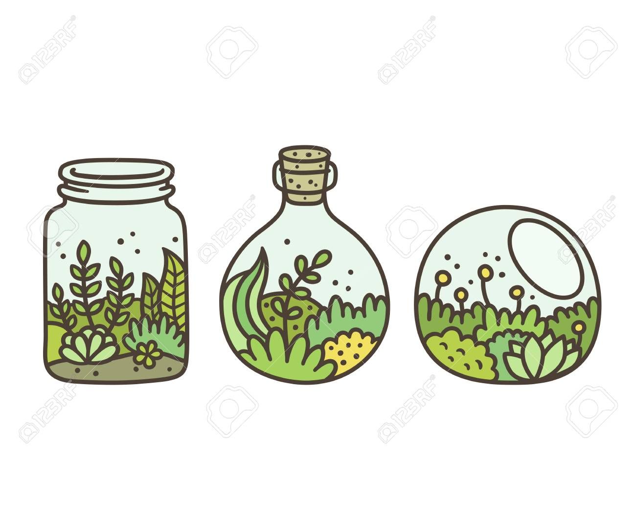 1300x1083 Stock Photo In Fittocerowoodii Drawings, Succulents