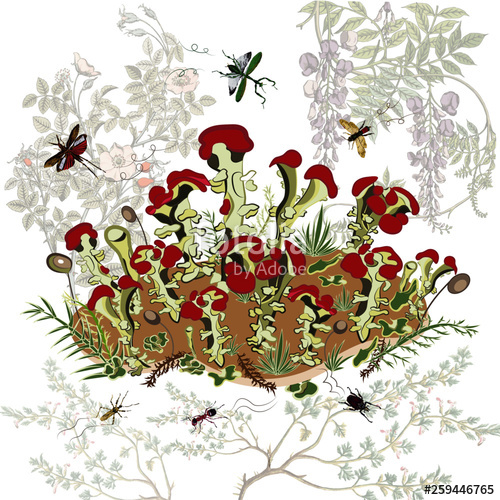 500x500 This Vector Image Depicts Blooming Moss, Detailed With Insects