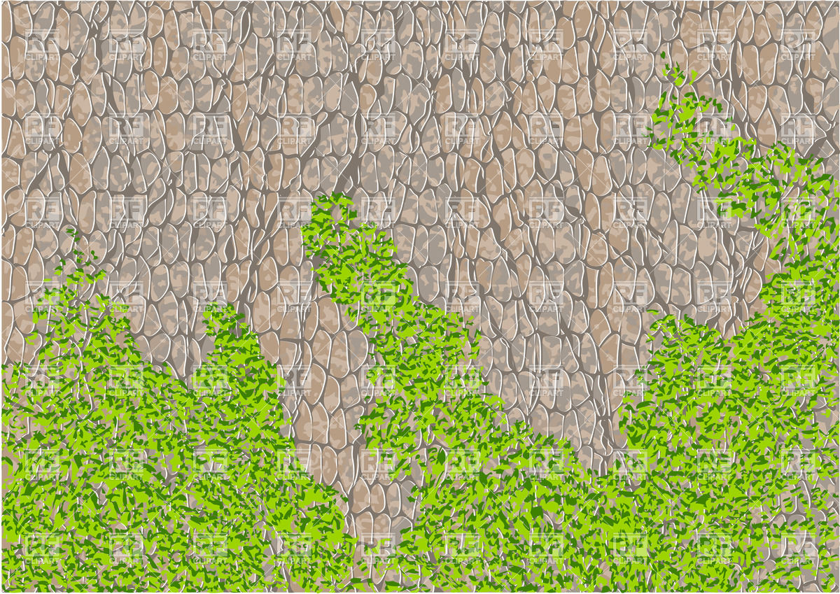 1200x849 Tree Bark With Moss Vector Image Of Backgrounds, Textures
